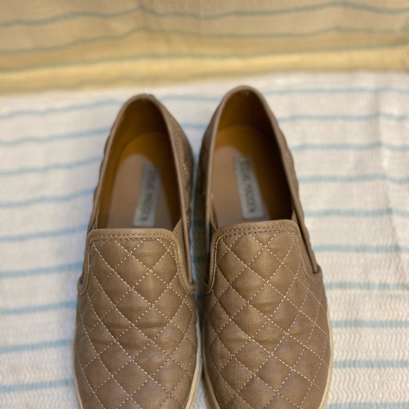 Steve Madden Ecentric Q Taupe Leather Sneakers - Picture 2 of 4